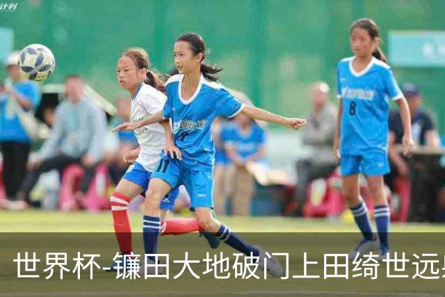 世界杯-镰田大地破门上田绮世远射建功 半场日本2-0突尼斯